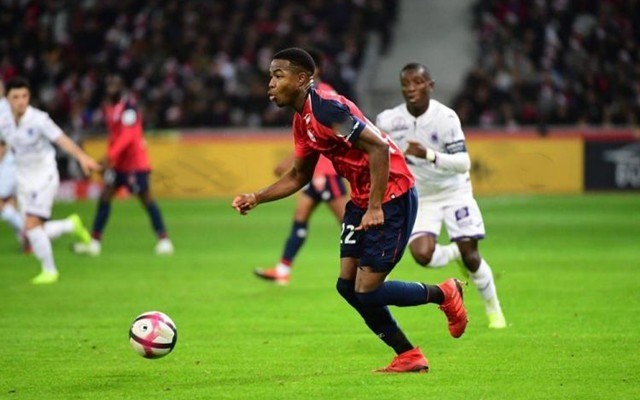 可以参考凯 可以参考凯